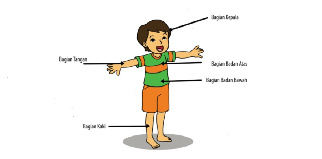 Detail Gambar Anggota Tubuh Manusia Kartun Nomer 49