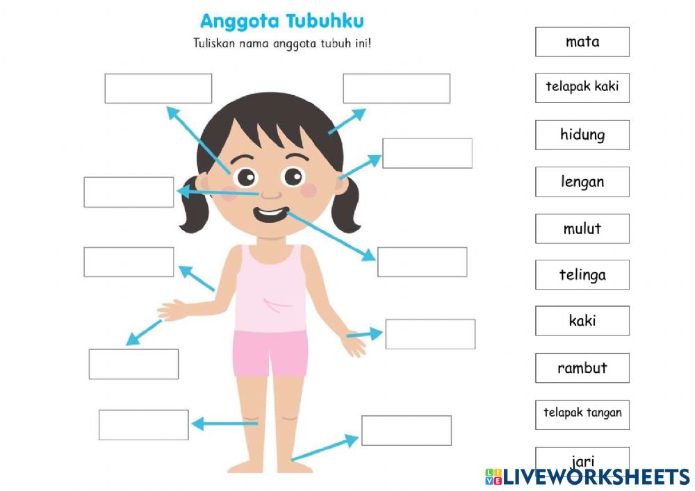 Detail Gambar Animasi Anggota Badan Manusia Nomer 20