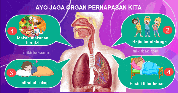 Detail Gambar Animasi Menjaga Pernapasan Nomer 18