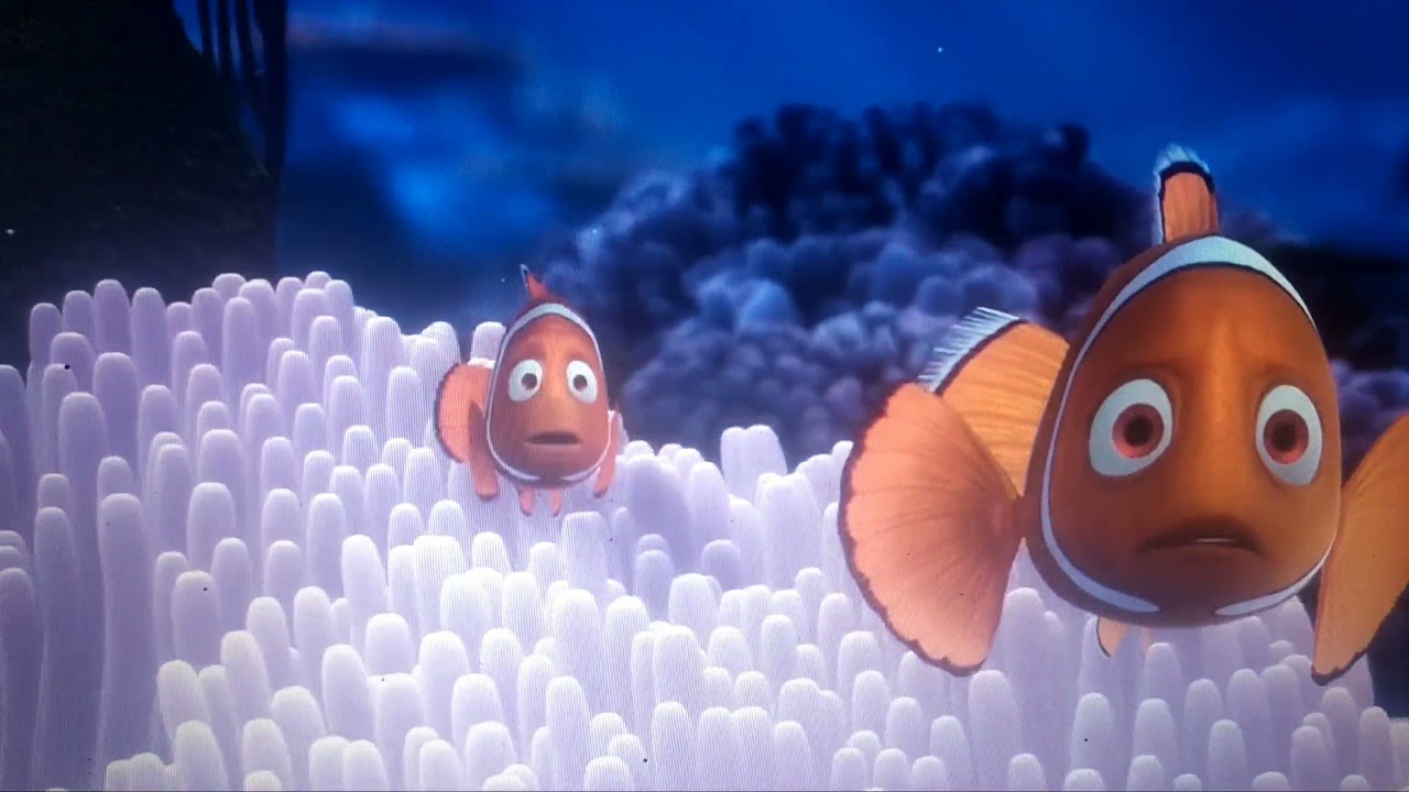 Detail Gambar Animasi Nemo Nomer 21