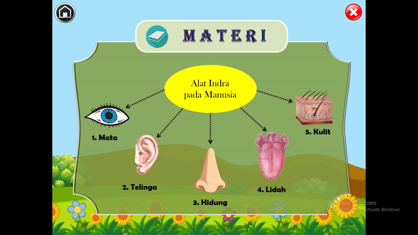 Detail Gambar Animasi Panca Indra Nomer 42