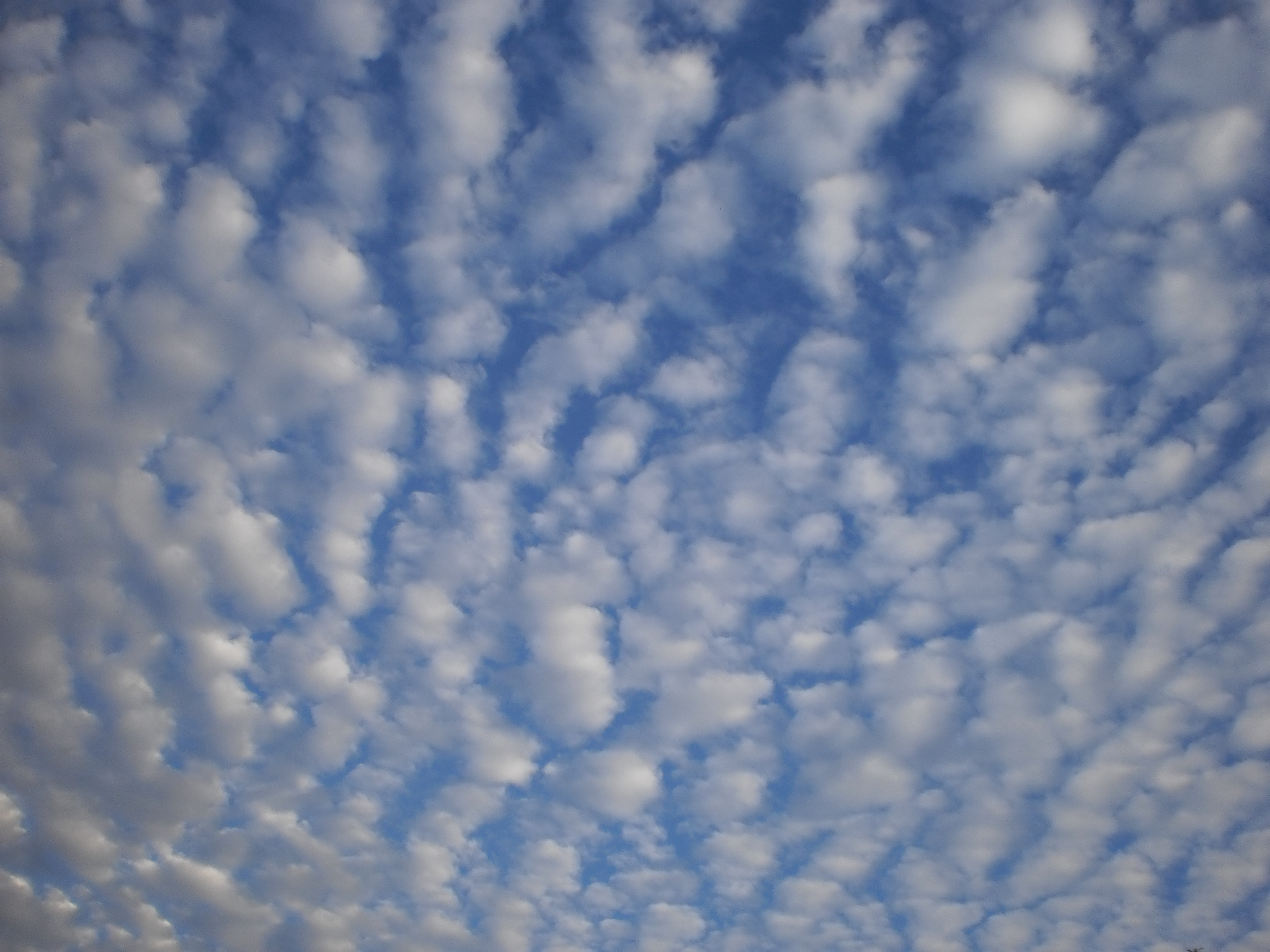 Gambar Awan Cirrocumulus - KibrisPDR