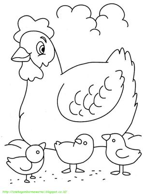 Gambar Ayam Untuk Mewarna - KibrisPDR