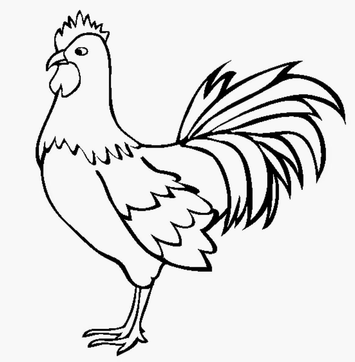 Detail Gambar Ayam Untuk Mewarna Nomer 12