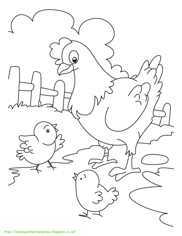 Detail Gambar Ayam Untuk Mewarna Nomer 13