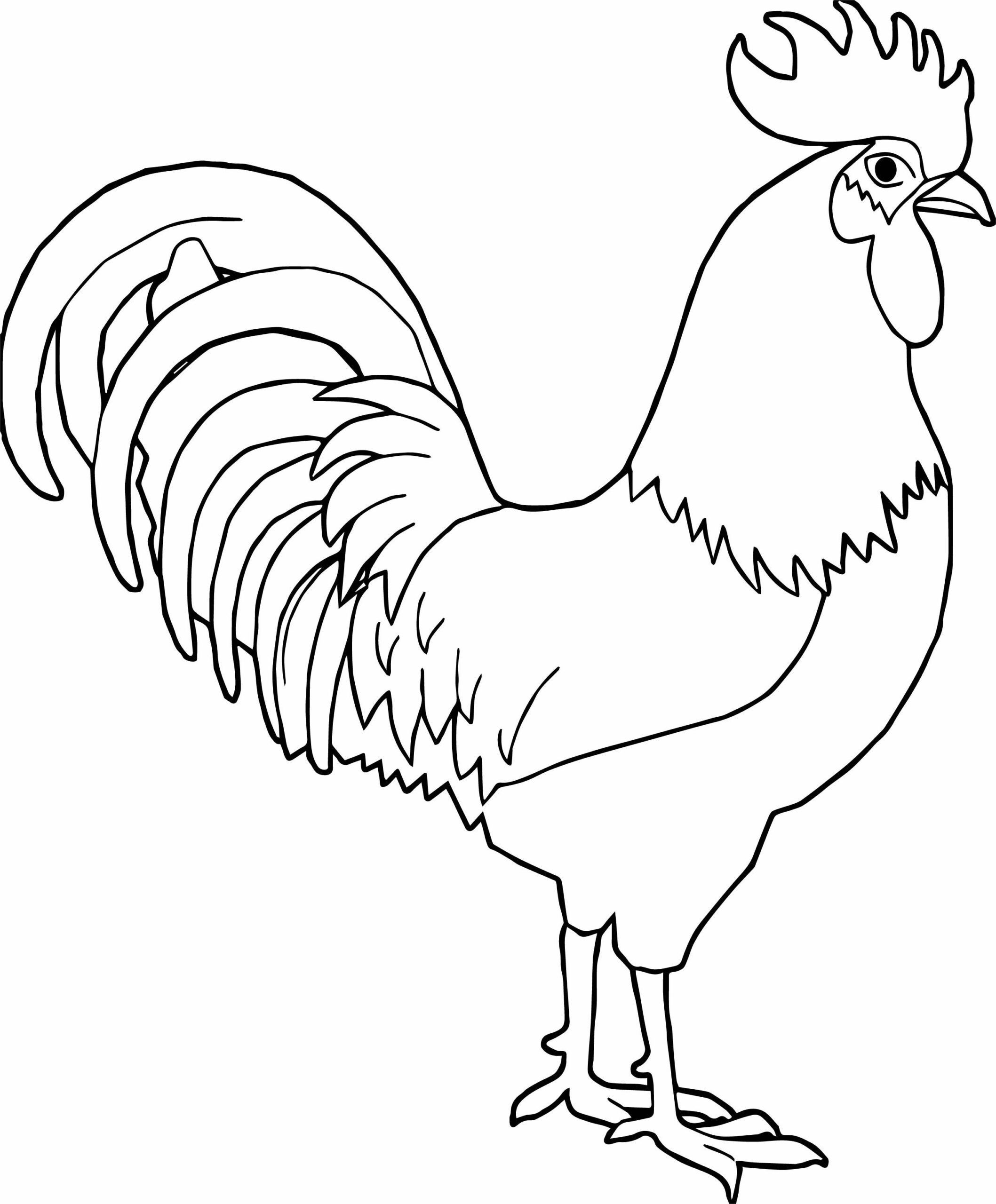 Detail Gambar Ayam Untuk Mewarna Nomer 15