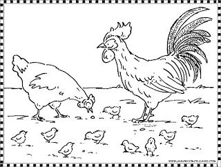 Detail Gambar Ayam Untuk Mewarna Nomer 25