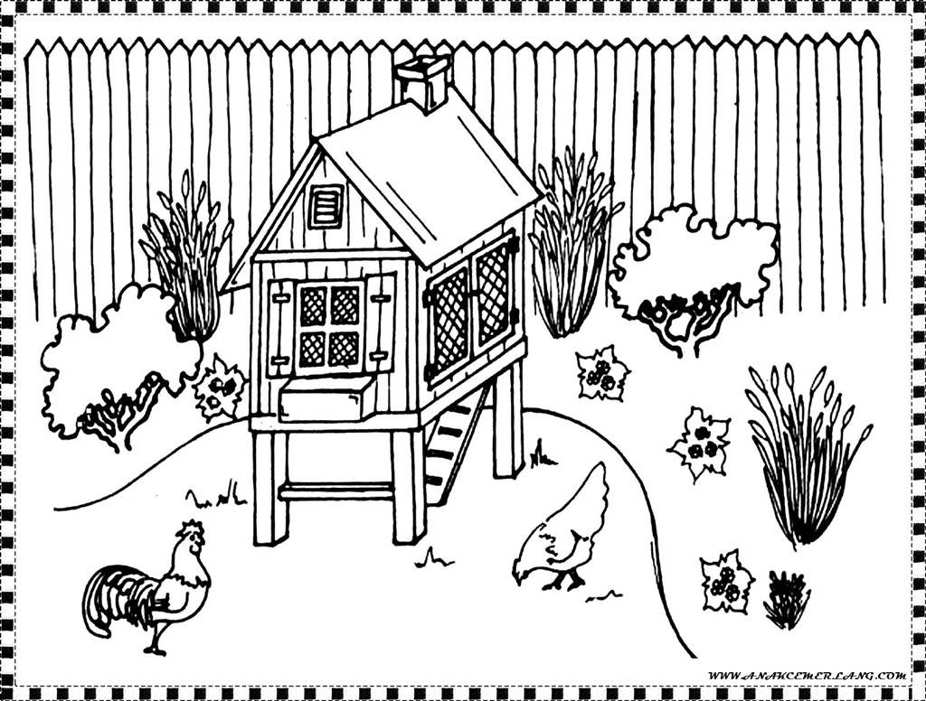 Detail Gambar Ayam Untuk Mewarna Nomer 26