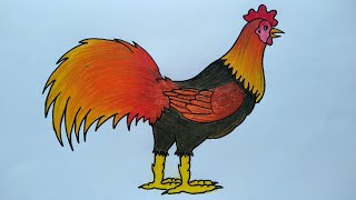 Detail Gambar Ayam Untuk Mewarna Nomer 36
