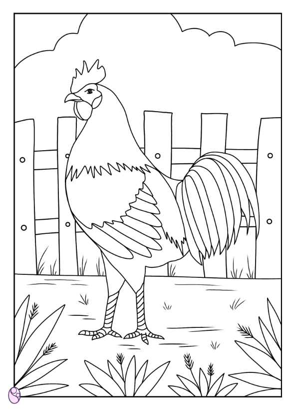 Detail Gambar Ayam Untuk Mewarna Nomer 42