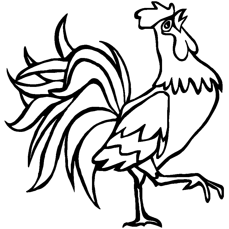 Detail Gambar Ayam Untuk Mewarna Nomer 47