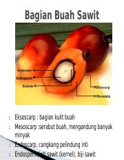 Detail Gambar Bagian Bagian Biji Dan Penjelasan Nomer 44