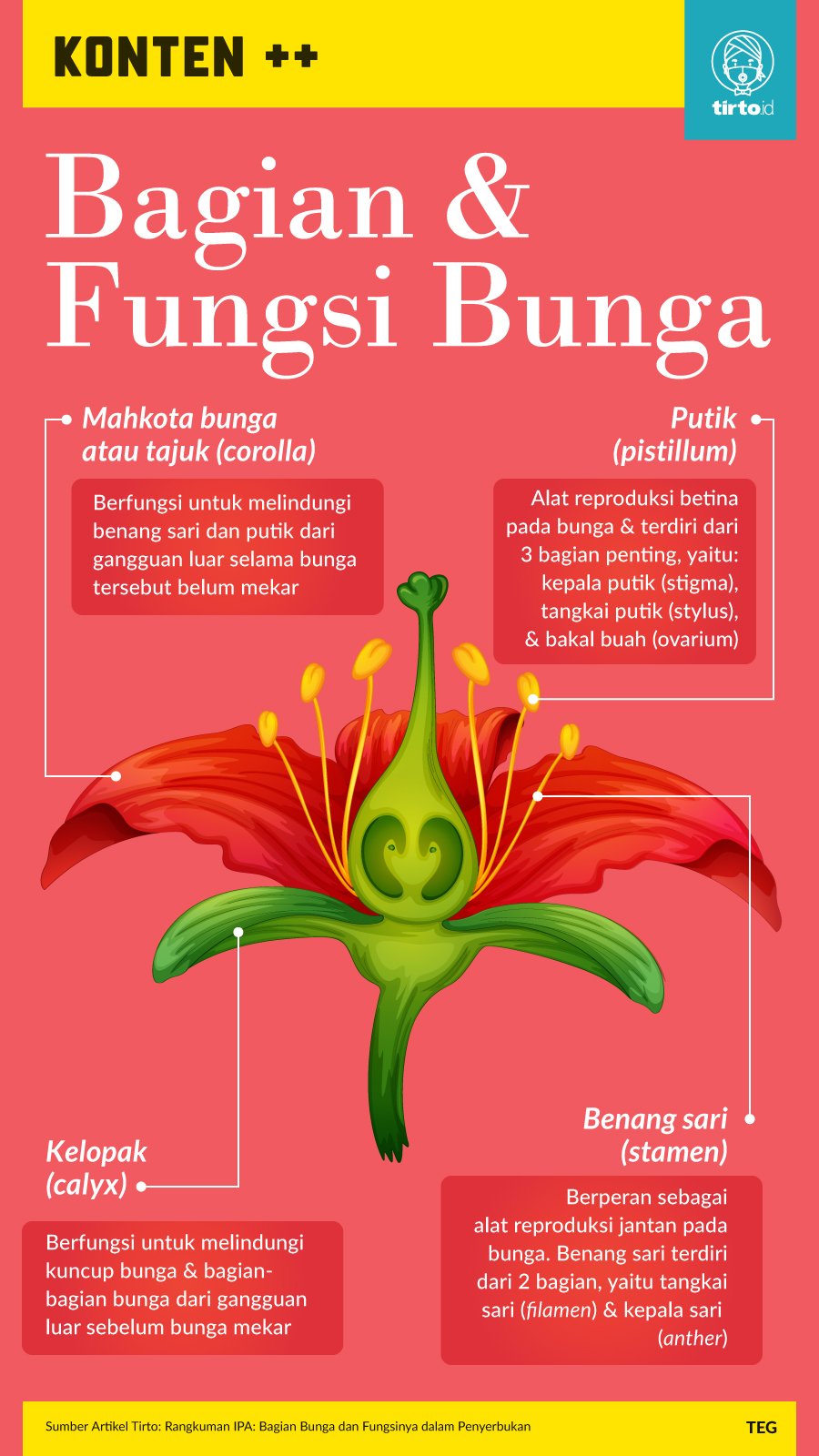 Detail Gambar Bagian Bagian Bunga Pada Buah Dan Fungsinya Nomer 10