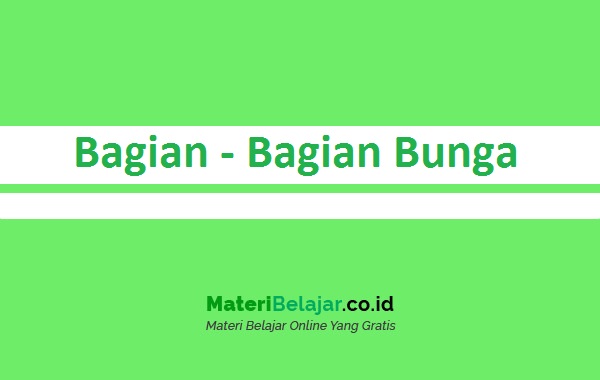 Detail Gambar Bagian Bagian Bunga Sempurna Dan Fungsinya Nomer 37