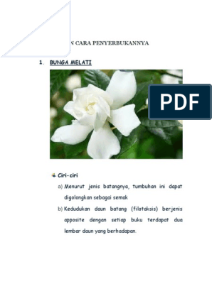 Detail Gambar Bagian Bunga Dan Cara Penyerbukan Bunga Mawar Nomer 19