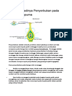 Detail Gambar Bagian Bunga Jagung Dan Cara Penyerbukannya Nomer 19