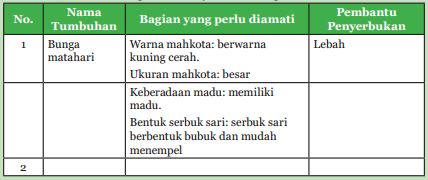 Detail Gambar Bagian Bunga Jagung Dan Cara Penyerbukannya Nomer 46