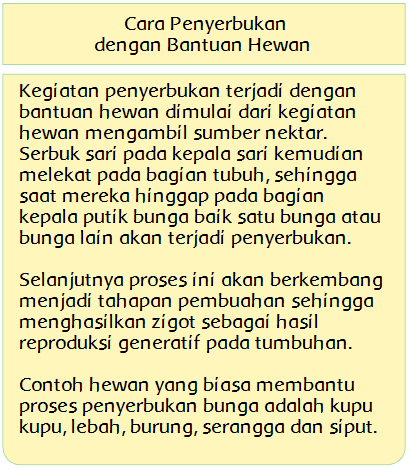 Detail Gambar Bagian Bunga Mawar Dan Cara Penyerbukannya Nomer 22