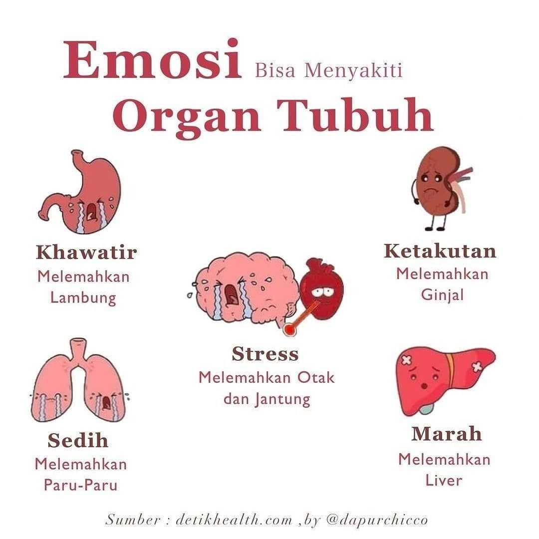 Detail Gambar Bagian Organ Tubuh Manusia Nomer 27