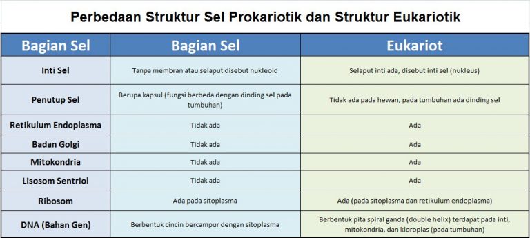 Detail Gambar Bagian Sel Dan Fungsinya Nomer 33