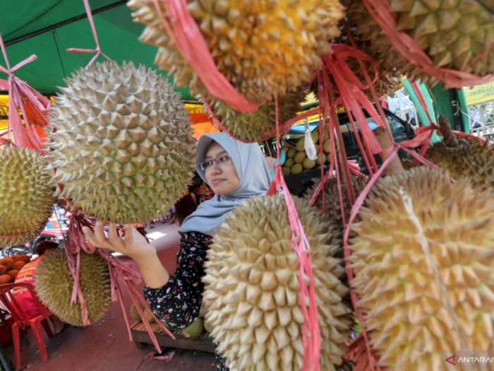Detail Gambar Bakteri Dan Penjelasannya Nomer 33