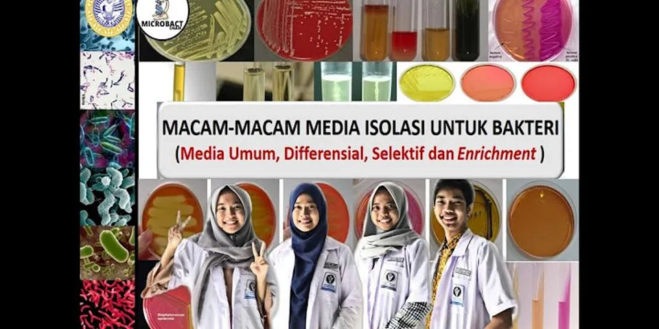 Detail Gambar Bakteri Dan Penjelasannya Nomer 45