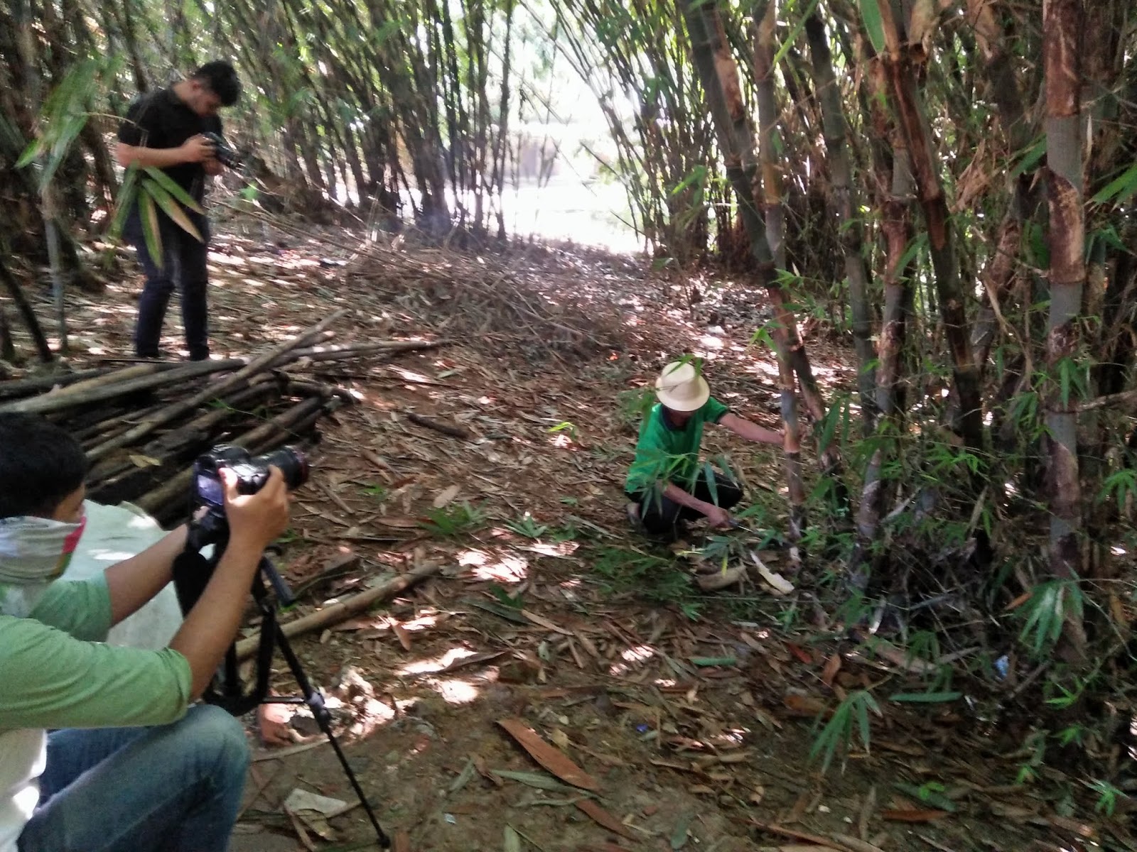 Detail Gambar Bambu Untuk Tambahan Foto Nomer 30