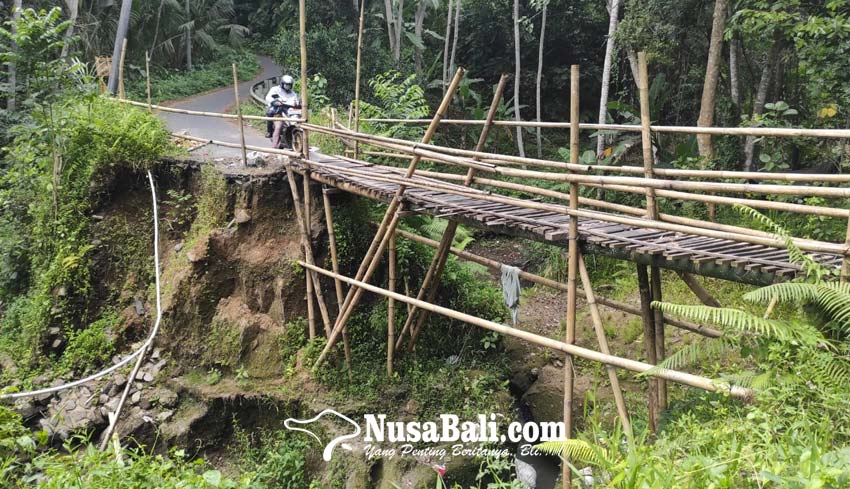 Detail Gambar Bambu Untuk Tambahan Foto Nomer 43