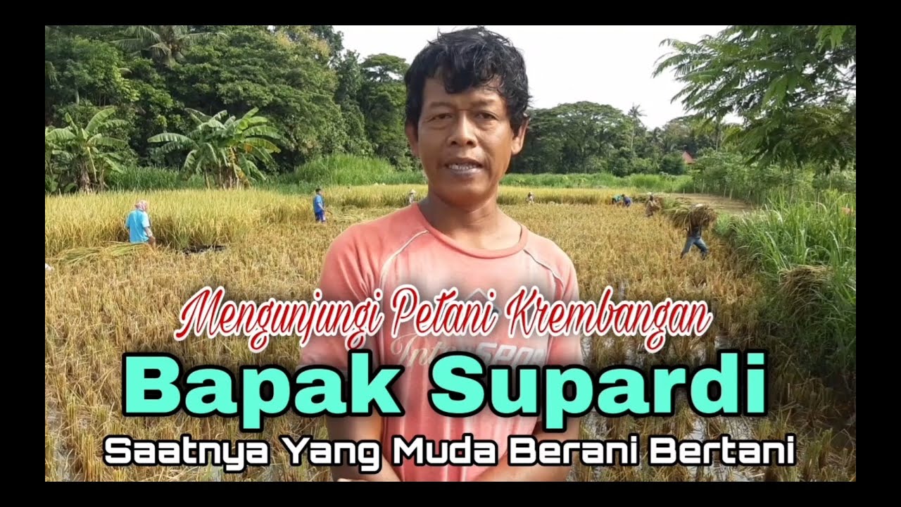 Detail Gambar Bapak Petani Nomer 19