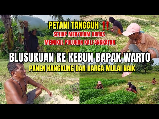 Detail Gambar Bapak Petani Nomer 28