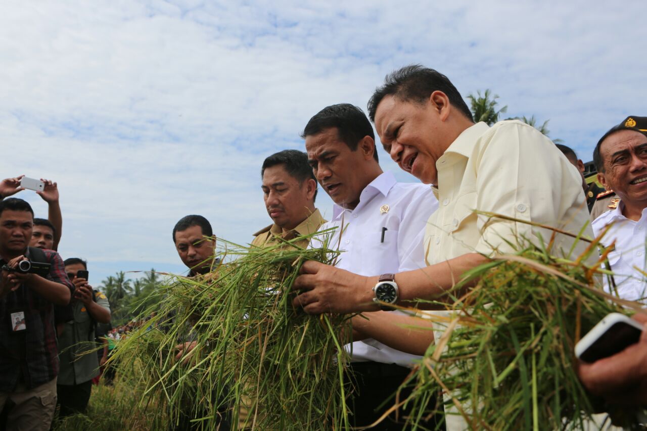 Detail Gambar Bapak Petani Nomer 30