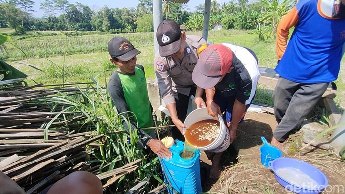 Gambar Bapak Petani Di Kulon Progo - KibrisPDR