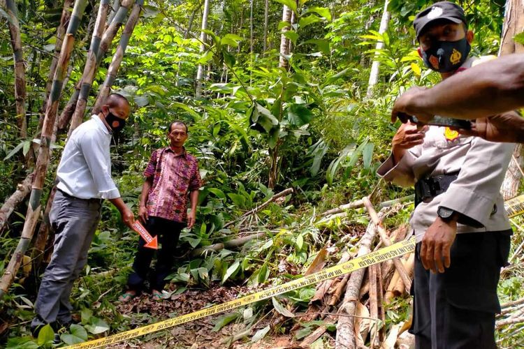 Detail Gambar Bapak Petani Di Kulon Progo Nomer 14