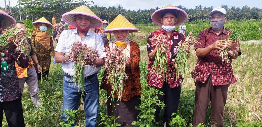 Detail Gambar Bapak Petani Di Kulon Progo Nomer 2