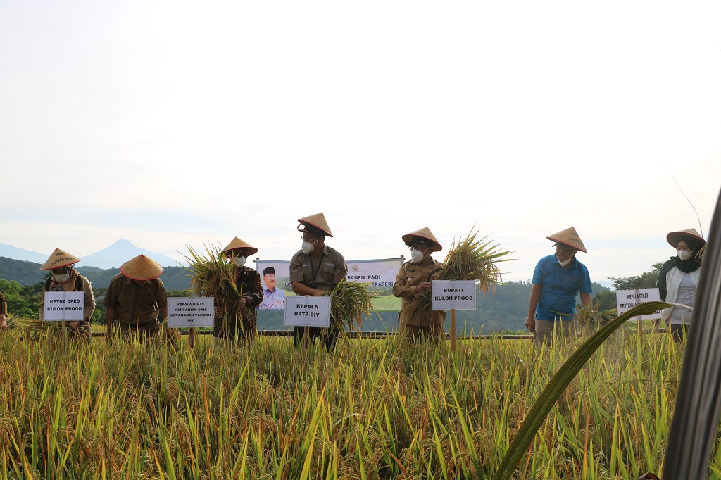 Detail Gambar Bapak Petani Di Kulon Progo Nomer 22