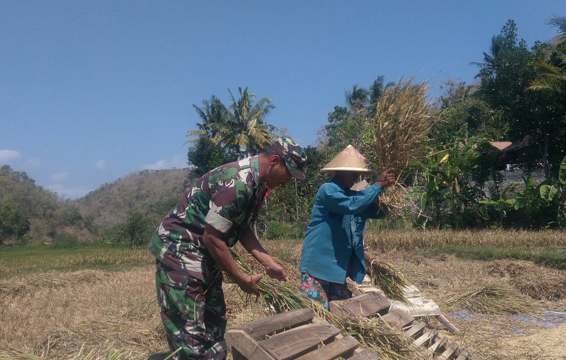 Detail Gambar Bapak Petani Di Kulon Progo Nomer 27