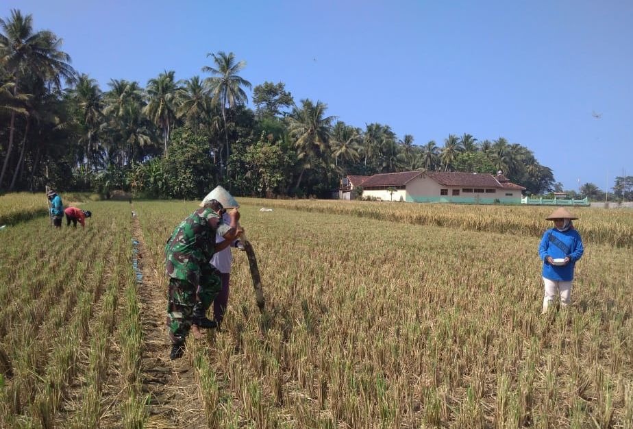 Detail Gambar Bapak Petani Di Kulon Progo Nomer 3