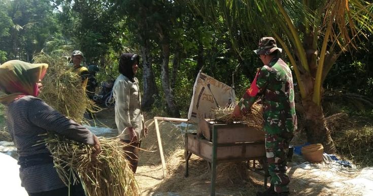 Detail Gambar Bapak Petani Di Kulon Progo Nomer 36