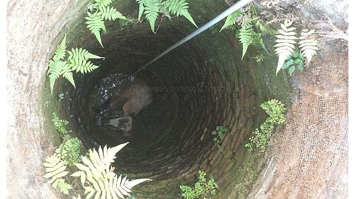 Detail Gambar Bapak Petani Di Kulon Progo Nomer 38