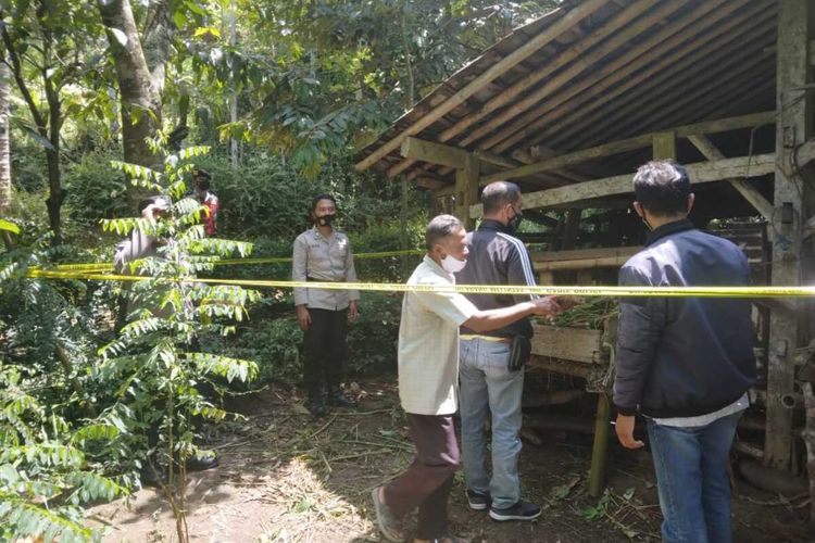 Detail Gambar Bapak Petani Di Kulon Progo Nomer 40