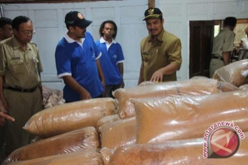 Detail Gambar Bapak Petani Di Kulon Progo Nomer 42