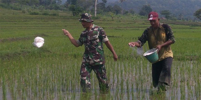 Detail Gambar Bapak Petani Di Kulon Progo Nomer 43