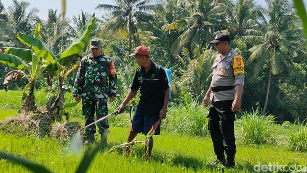 Detail Gambar Bapak Petani Di Kulon Progo Nomer 4