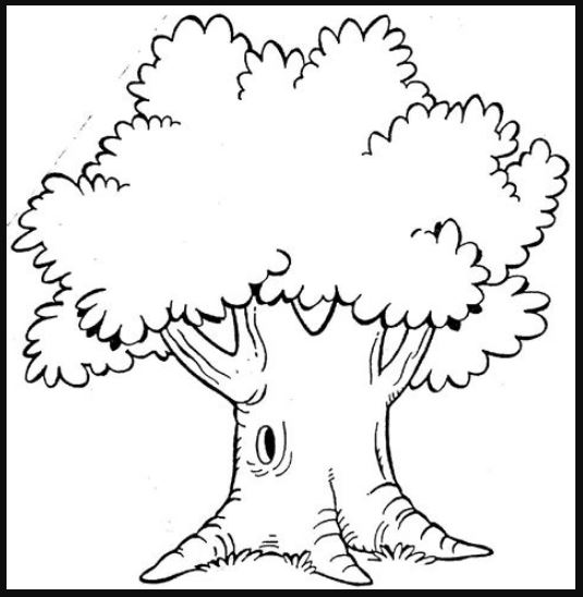 Gambar Batang Pohon Besar Untuk Diwarnai Anak Tk - KibrisPDR