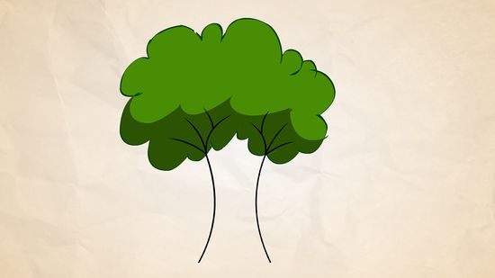 Detail Gambar Batang Pohon Besar Untuk Diwarnai Anak Tk Nomer 21