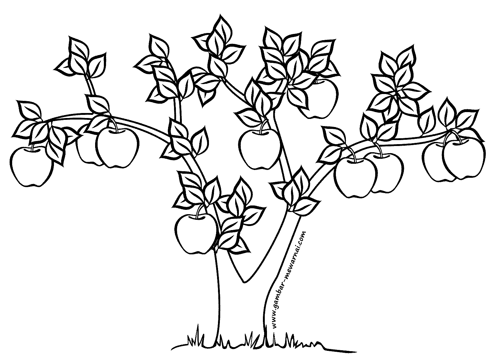 Detail Gambar Batang Pohon Besar Untuk Diwarnai Anak Tk Nomer 8