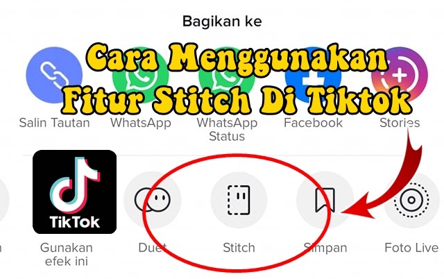 Detail Gambar Bbm Bergerak Stitch Nomer 9