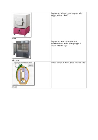 Detail Gambar Beaker Glass Dan Fungsinya Gambar Ruber Bulb Dan Fungsinya Nomer 20