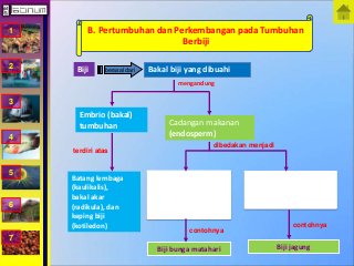 Detail Gambar Benih Tak Berendosperma Nomer 11