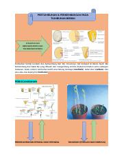 Detail Gambar Benih Tak Berendosperma Nomer 21